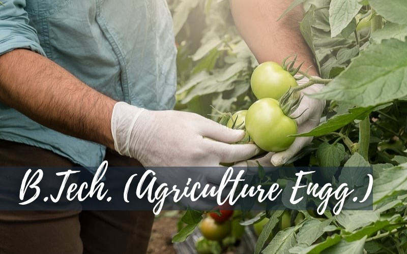 B.Tech (Agriculture Engineering)