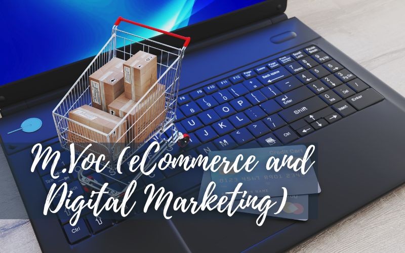 M.Voc. (eCommerce and Digital Marketing)