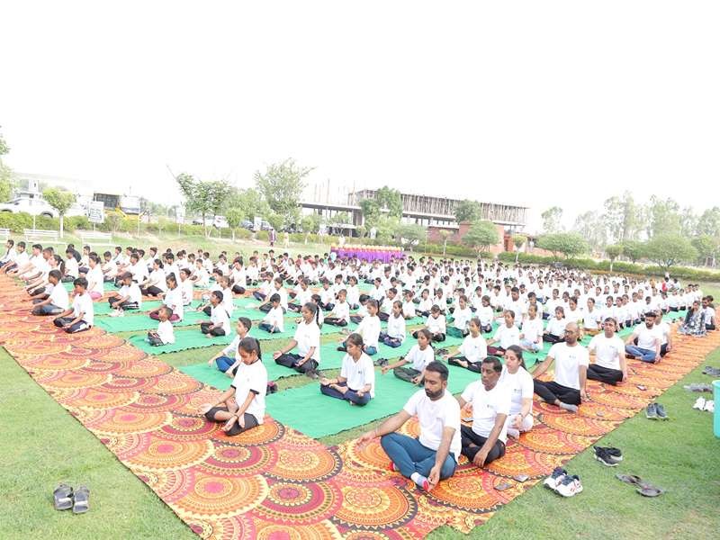 NIILM campus gallery