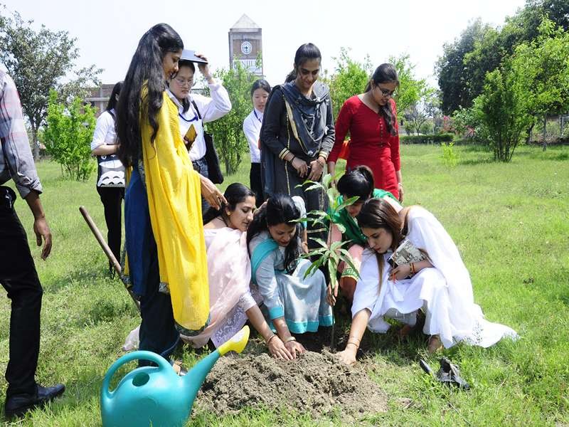 NIILM campus gallery