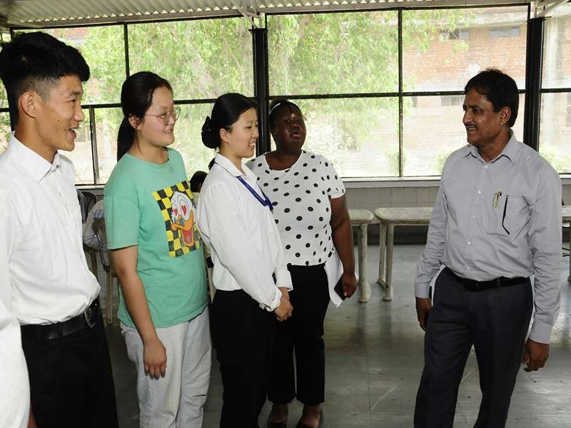 NIILM campus gallery